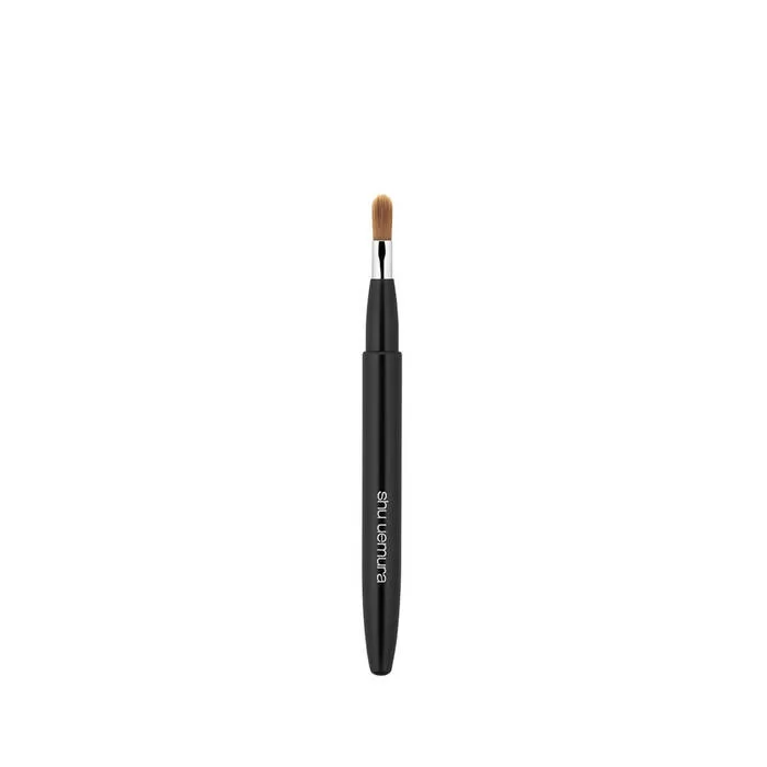  portable lip brush 
